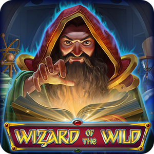 WIZARD OF THE WILD