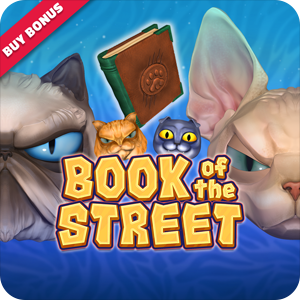 BOOK OF THE STREET
