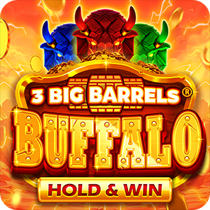 3 BIG BARRELS BUFFALO
