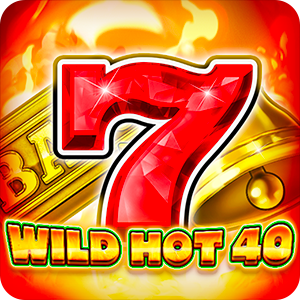 WILD HOT 40