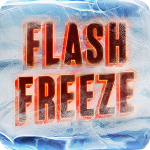 FLASH FREEZE
